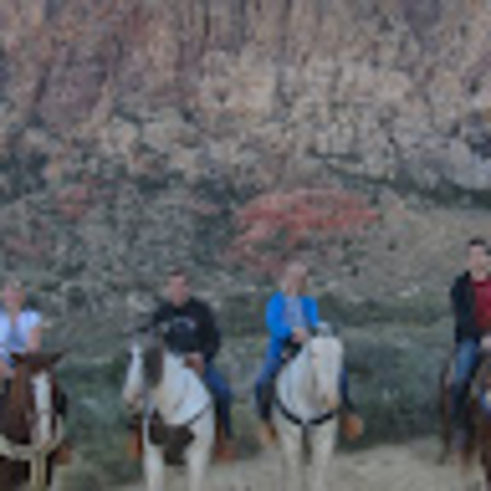 Meet your Posher, Susan